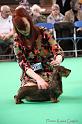 Crufts2011_2 1198